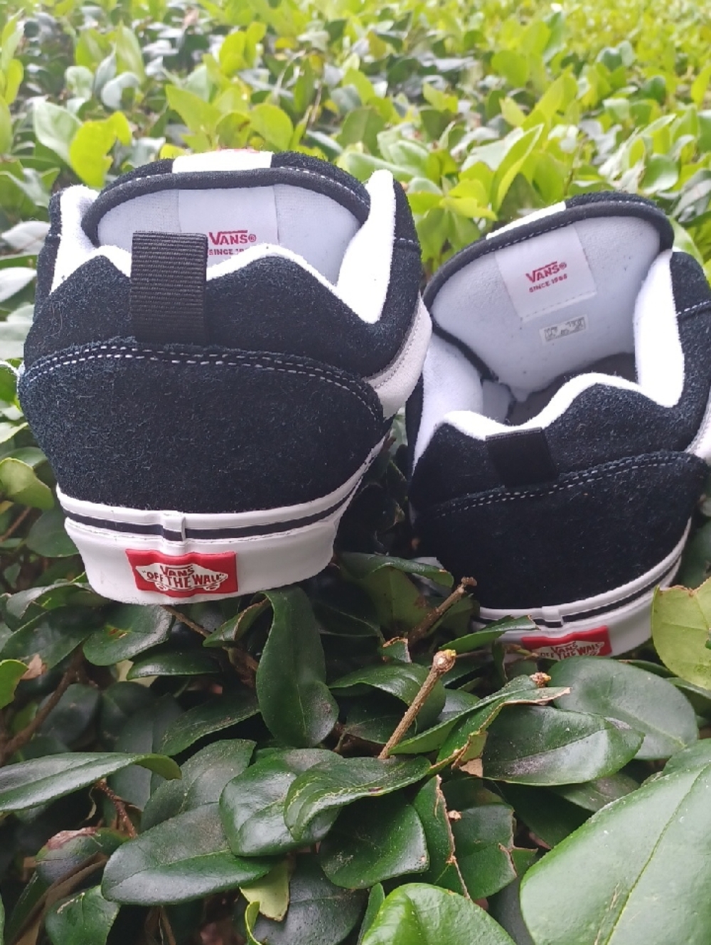 -- Vans Black and White Old Skool Low-Top Sneakers - Picture 9 of 11
